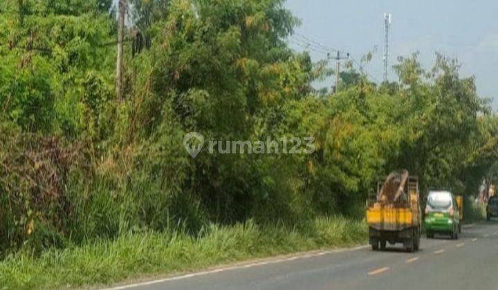  Tanah di Jalan Raya Serang Padeglang, Serang 10000 2