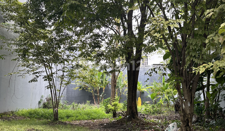 Tanah Katamaran Indah Pik Dijual Cepat Bagus