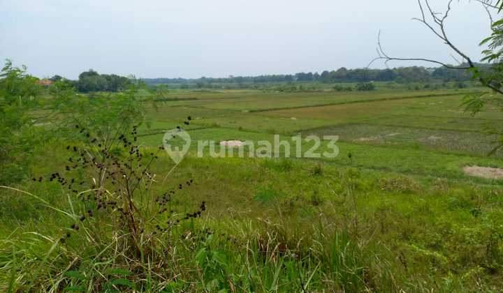 Tanah Sirnajati Cibarusah Bekasi Dijual Cepat