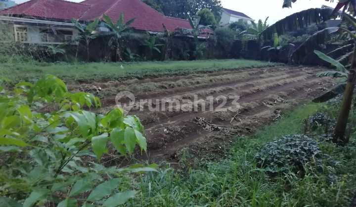 Tanah Luas 800m Lokasi Strategis Cocok Untuk Kost Tanah Luas 800m Lokasi Strategis Cocok Untuk Kost