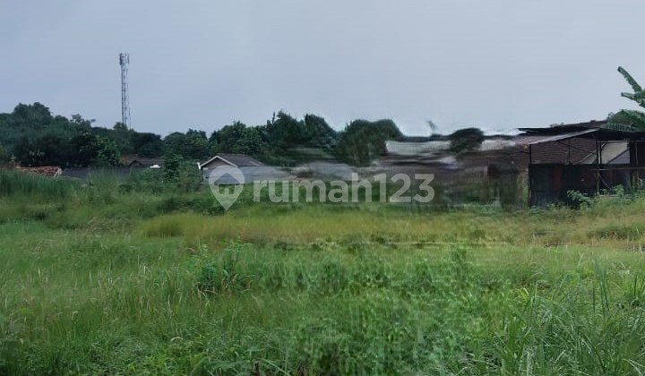 Tanah Luas 3998m di Gunung Sindur Tanah Luas 3998m di Gunung Sindur