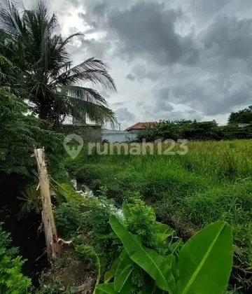 Tanah di Bekasi Timur Luas 6893M Lokasi Strategis Tanah di Bekasi Timur Luas 6893M Lokasi Strategis
