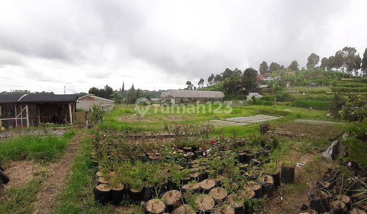 Dijual Tanah di Cihideung Lembang Cocok untuk Cluster atau Usaha Kebun Bunga 2