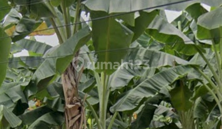 Tanah Kavling Siyap Bangun Di Lebak Bulus Jakaeta Selatan