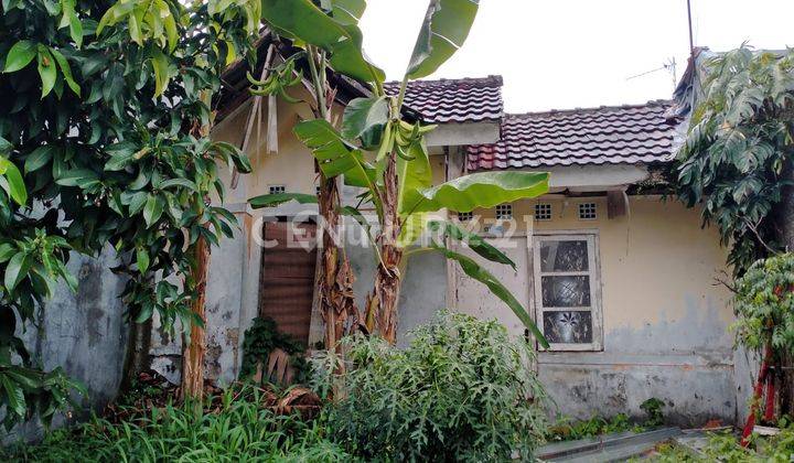 Dijual Rumah Hitung Tanah Di Perumahan Cintra Indah Cileungsi  1