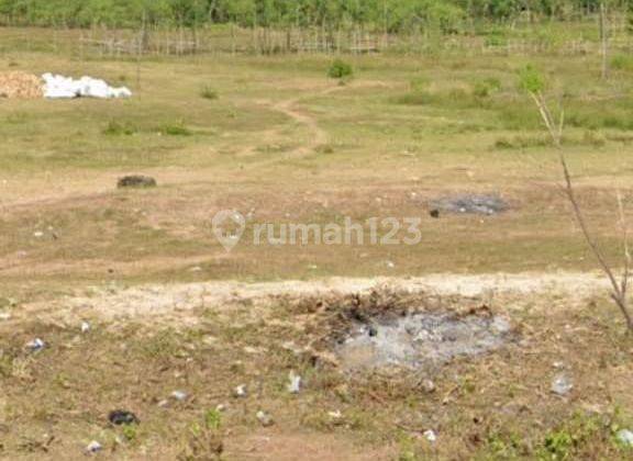 Tanah pantai cocok vila dan resort di lombok  2