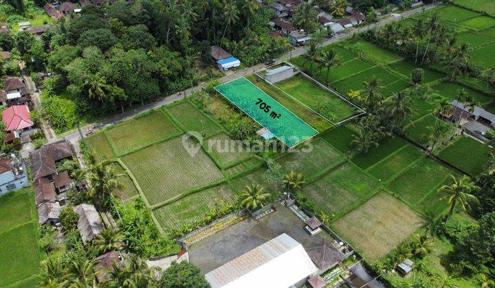 Dijual Tanah Di Desa Bukian Payangan, Ubud 1