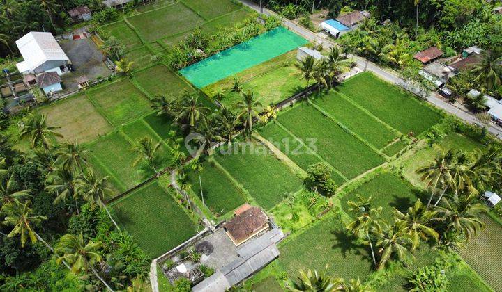 Dijual Tanah Di Desa Bukian Payangan, Ubud 3