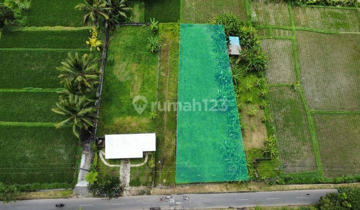 Dijual Tanah Di Desa Bukian Payangan, Ubud 5
