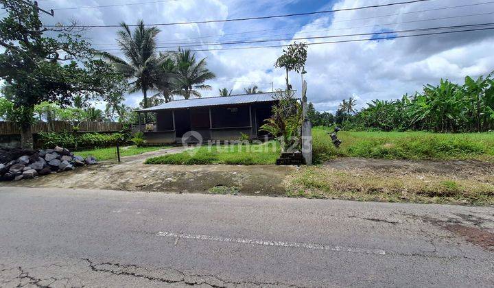 Dijual Tanah Di Desa Bukian Payangan, Ubud 8