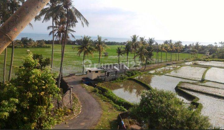 Dijual Tanah Lokasi Strategis Di Jembrana Bali 2