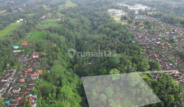 Tanah Tebing Dengan Panorama Hutan Dan Sungai Di Ubud Bali 2