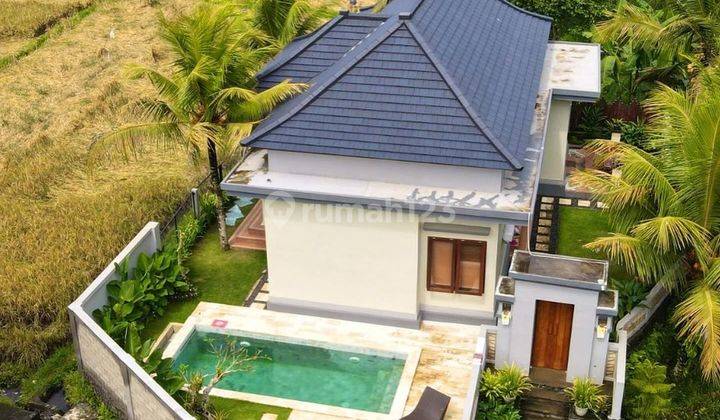  For Sale Modern Villa Located in Tampaksiring Ubud Gianyar 2