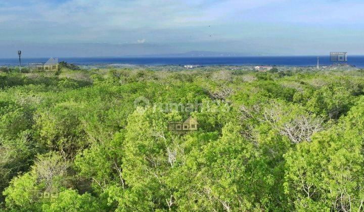 Land for sale in a strategic location located in Nusa Dua, Bali 2