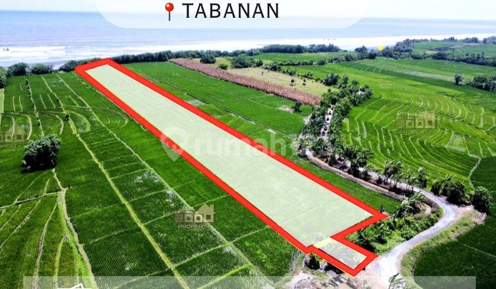 Exclusive Beachfront Land in Tibubiu, Kerambitan – Tabanan Exclusive Beachfront Land in Tibubiu, Kerambitan – Tabanan