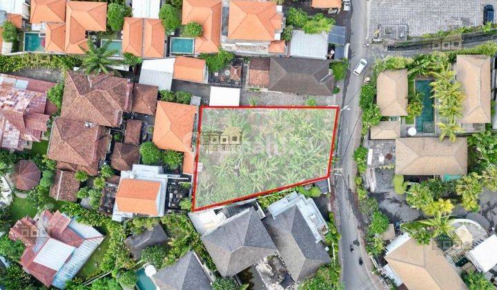 Premium Land In Batu Belig Seminyak Bali 2