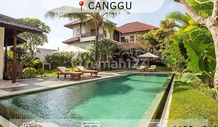 Luxury Villa in Canggu, Near Beach Club & International School