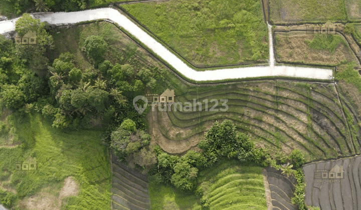 Dijual Tanah Eksklusif di Kedungu, Tabanan Bali 2