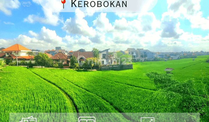 Dijual Rumah Dengan View Sawah Di Kerobokan Bali 1