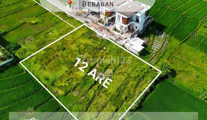 Dijual Tanah di Nyanyi Luna Beach Club, Tabanan Bali 1