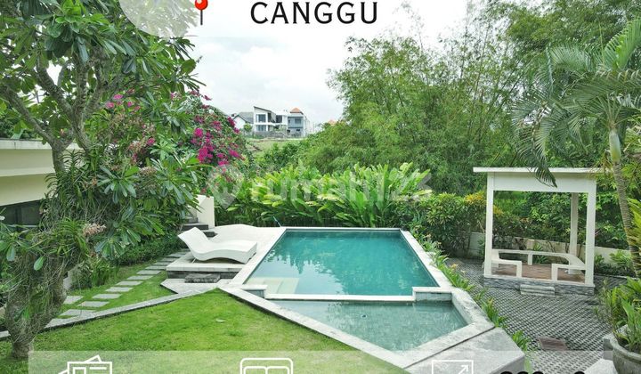 Vila Eksklusif dengan Pemandangan Sawah dan Sungai Panoramik di Canggu