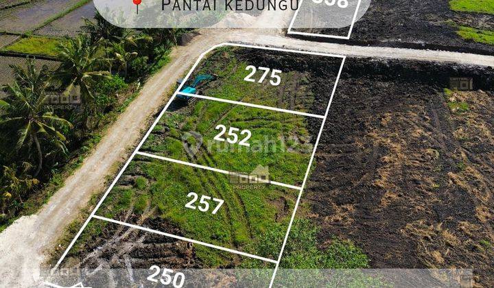 Dijual Tanah Kavling Dekat Dengan Pantai Kedungu Bali 1