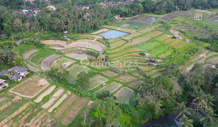 Di Jual Tanah Kavling Semana Ubud Gianyar Bali 2