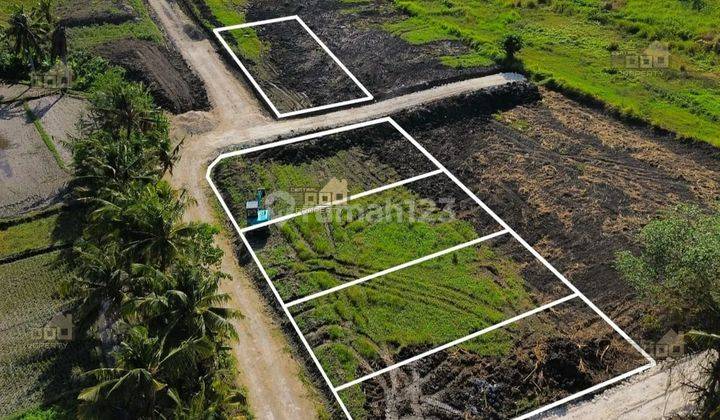 Dijual Tanah Kavling Dekat Dengan Pantai Kedungu Bali 2