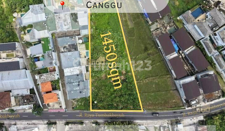 For Sale Commercial Land in Pink Zone, Canggu Bali For Sale Commercial Land in Pink Zone, Canggu Bali