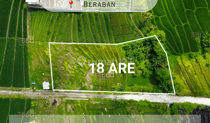 Land For Sale Nyanyi Beach Side, Tabanan Bali 1