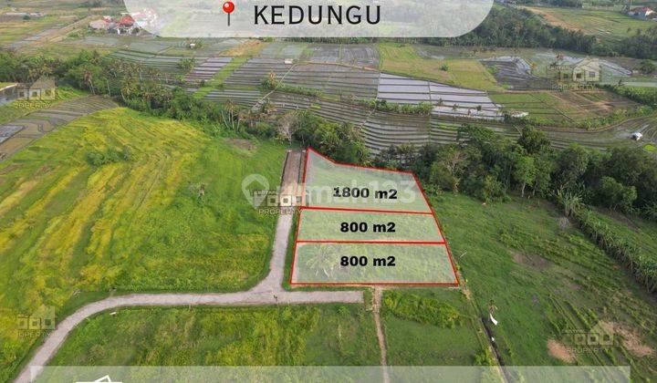 Dijual Tanah Eksklusif di Kedungu, Tabanan Bali 1