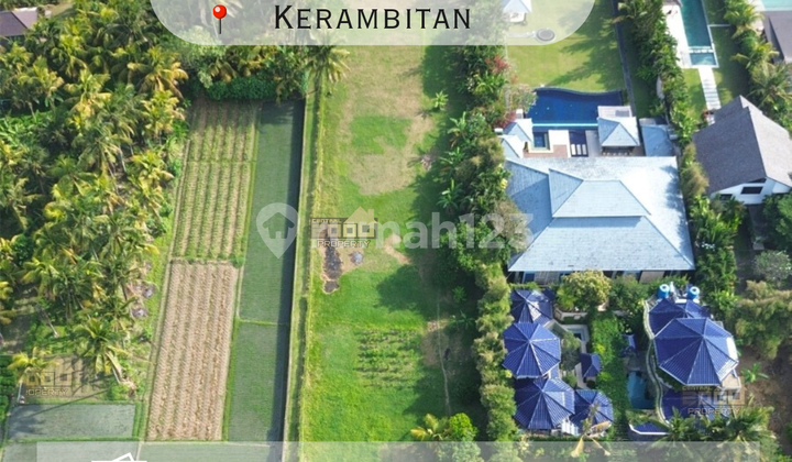 Prime Beachfront Land in Pasut – Perfect for Villa/Resort Prime Beachfront Land in Pasut – Perfect for Villa/Resort