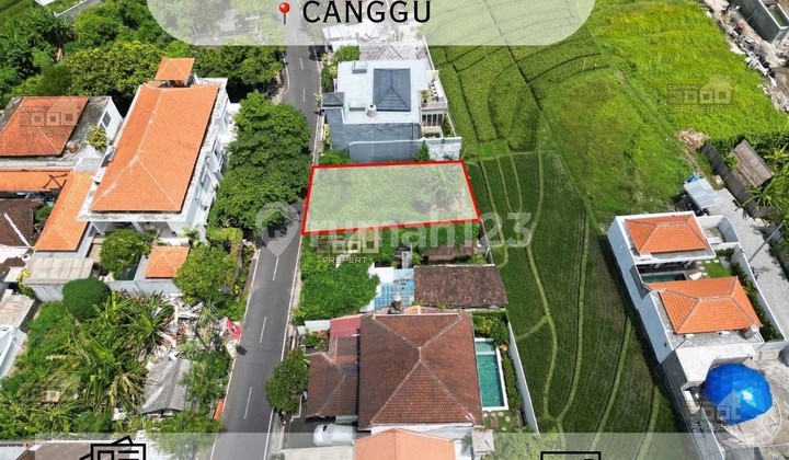 Freehold Land Canggu - Strategic Location & Scenic Ricefield View Freehold Land Canggu - Strategic Location & Scenic Ricefield View