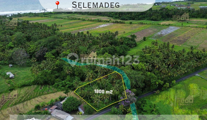 Tanah Strategis Pinggir Jalan dengan View Sungai di Selemadeg