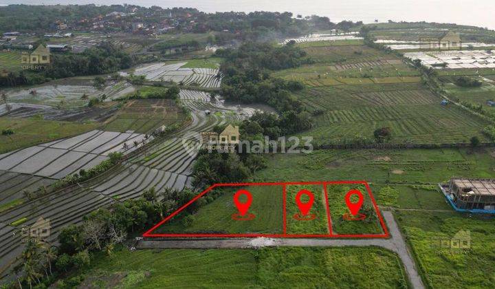 Dijual Tanah Eksklusif di Kedungu, Tabanan Bali 2