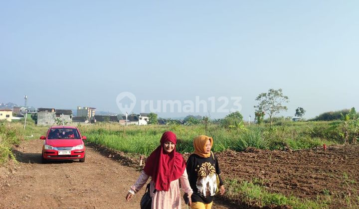 Dijual Tanah Komersial Belakang Minimarket Toramart Elang Raya Semarang 2