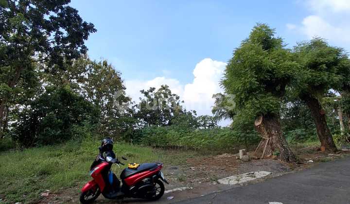 Land Ready to Build in Ring 1 Location of Undip Semarang 1