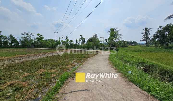Land Plot in Klapanunggal, Bogor Regency, by the roadside.