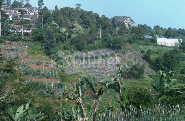 Tanah Pinggir Jalan Raya - Potensi Bisnis Besar. Lembang 2