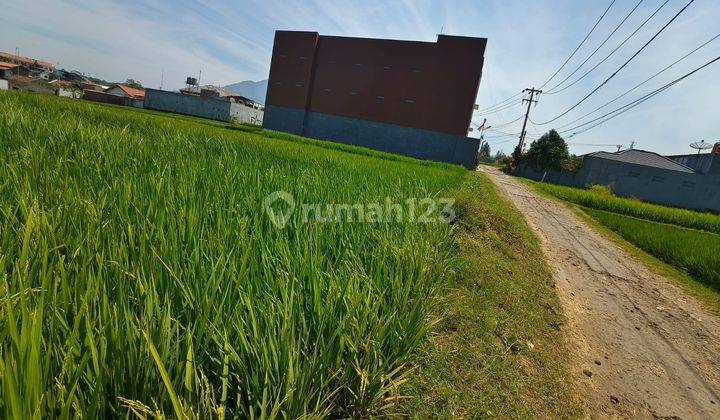 Dijual Tanah Cocok Untuk Kost Kostan di Jatinangor 1