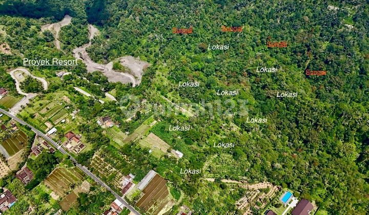 Tanah di Payangan Ubud View Jungle dan Loss Sungai Ayung Bali Tanah di Payangan Ubud View Jungle dan Loss Sungai Ayung Bali