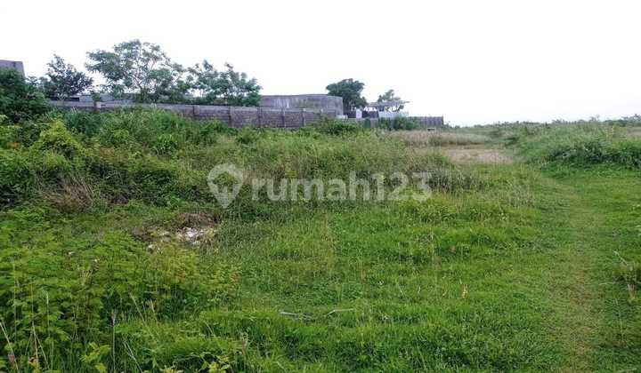 Land Cliff Front Tebing Nyang Nyang Beach Uluwatu Pecatu South Kuta Badung Bali