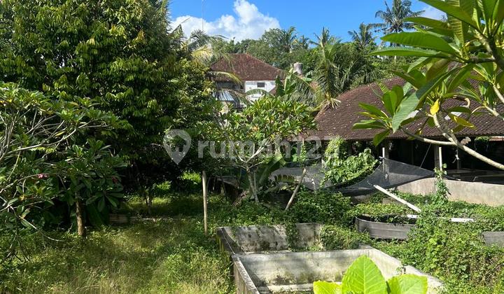 Jual Tanah Kemenuh Ubud Bali Strategis Murah