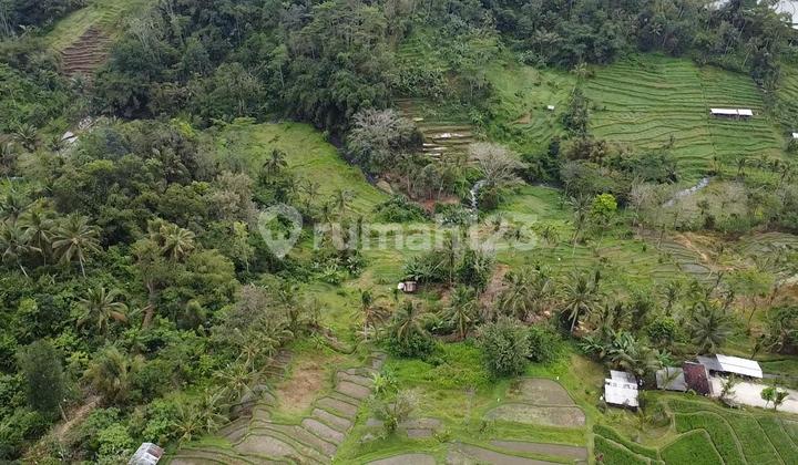 Tanah Persawahan Eksotis di Mengesta, Penebel - Tabanan Bali Murah Sekali
