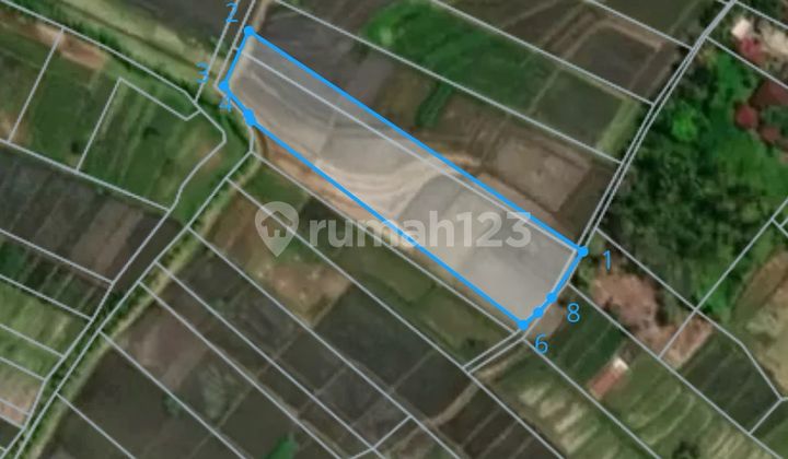 Land for sale at Kelanting Beach Tabanan Bali Strategic Cheap