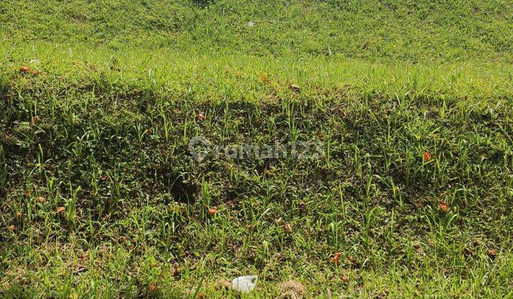 Kavling Bagus di Jalan Heliconia Komplek Budi Indah 2