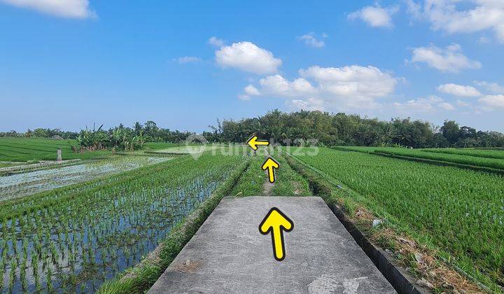 Strategic Land Suitable for Investing in Tanah Lot Tabanan Bali 2