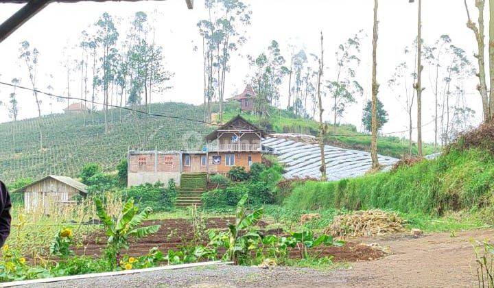 Tanah Kebun Luas Dan Besar di Kamojang Garut 1