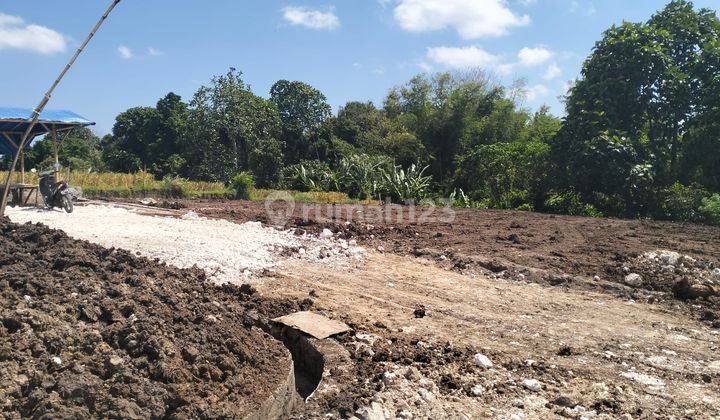 Tanah Luas Strategis Di Sayap Canggu Bali 1