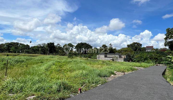 Dijual Tanah Kavling di Umalas Jalan Sudah di Aspal 1